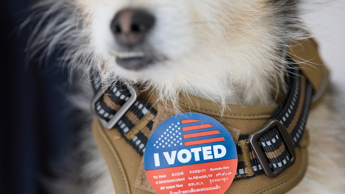 Super Tuesday in California © ANSA/EPA