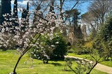 El extraordinario Jardín de Ninfa, en Latina, Italia