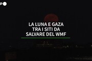 La Luna e Gaza tra i siti da salvare del WMF