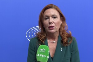 Pesca, Rosanna Conte (Lega): "L'Ue rende questo settore un Grande Fratello" (ANSA)