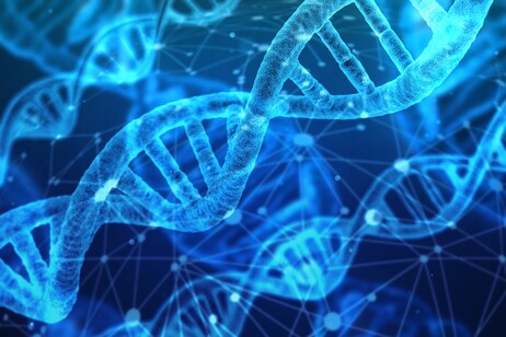 Rappresentazione artistica della doppia elica del Dna (fonte: Pixabay)