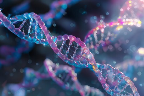 Genome of Europe si annuncia come il più grande studio mai realizzato sul Dna degli europei (fonte: Pixabay)