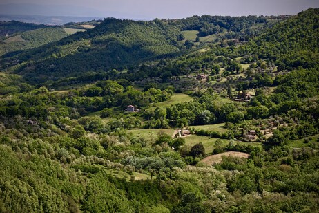 Da contadine e pastori italiani una lezione contro gli incendi. Foto di Davide Dalese da Pixabay