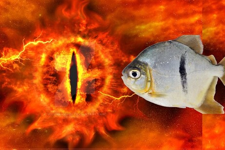 Ricorda l'occhio di Sauron, la nuova specie di piranha (fonti: occhio di Sauron di Deviantart; pesce Myloplus sauron di Mark Sabaj/Academy of Natural Sciences, Drexel)