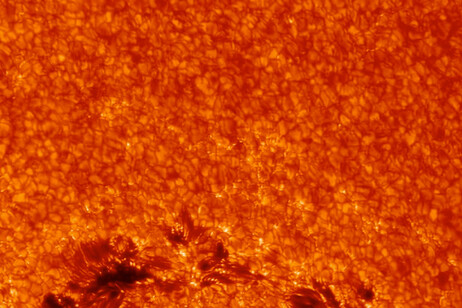 Le macchie solari sono provocate da concentrazioni di campi magnetici (fonte: NASA Goddard)