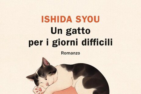 Cover Un gatto per i giorni difficili