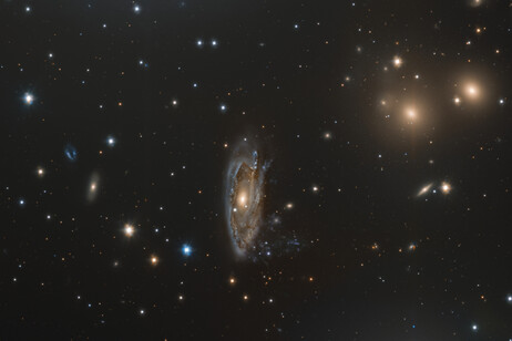 La galassia a spirale NGC 3312: la sua forma, simile a quella di una medusa, tradisce la sottrazione di gas (fonte: ESO/INAF/M. Spavone, E. Iodice)