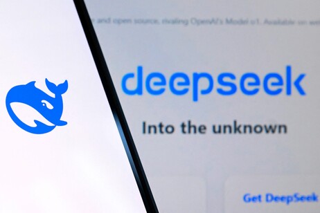 DeepSeek