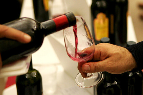 Dall'Ue nuova guerra al vino', protestano le associazioni