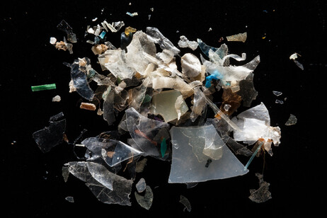 Microplastiche (fonte; Will Parson/Chesapeake Bay Program da Flickr CC BY-NC 2.0)