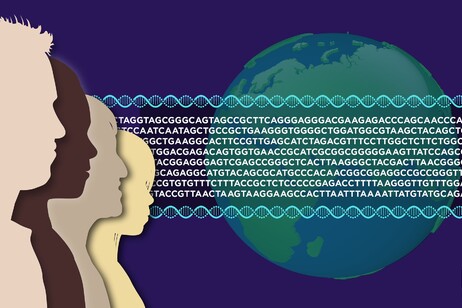 Rappresentazione artistica di sequenze genetiche umane (fonte: Ernesto del Aguila III, NHGRI da Flickr PDM 1.0)