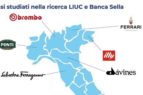 I casi studiati nella ricerca LIUC