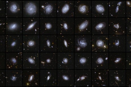 Euclid ha catalogato oltre 380.000 galassie di diverse forme e dimensioni (fonte: ESA/Euclid/Euclid Consortium/NASA, image processing by M. Walmsley, M. Huertas-Company, J.-C. Cuillandre)