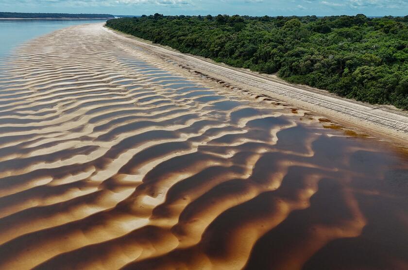 Siccita' colpisce l'Amazzonia