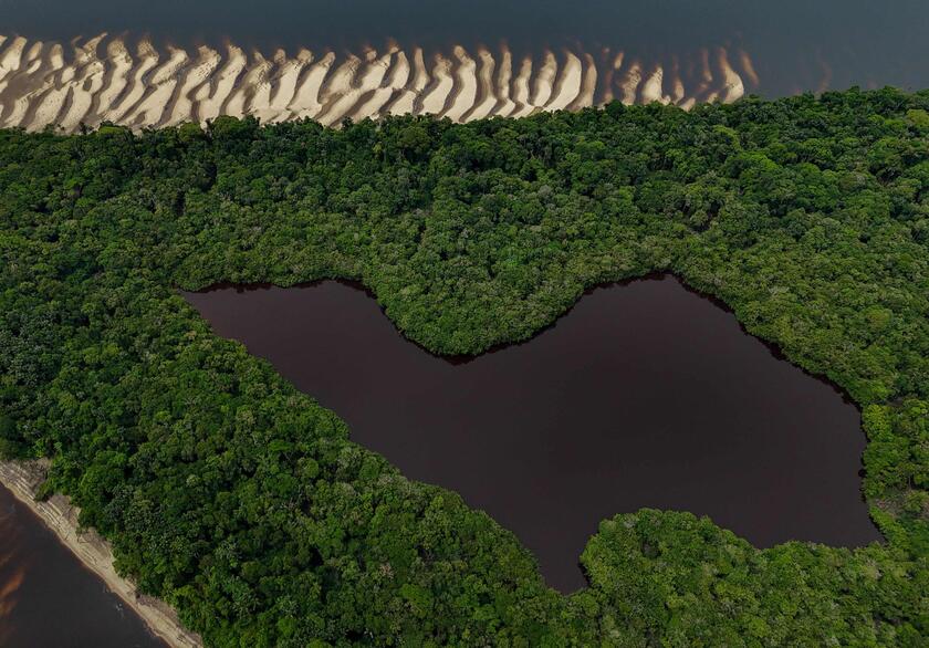 Siccita' colpisce l'Amazzonia