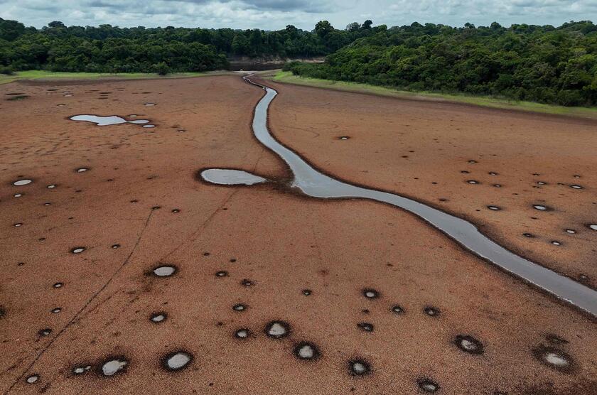 Siccita' colpisce l'Amazzonia