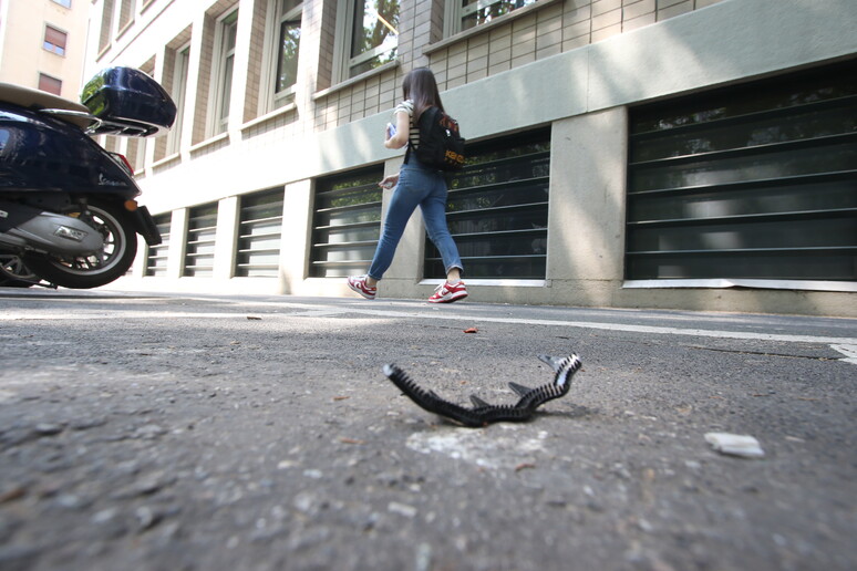 Una strada davanti all 'Università Bocconi di Milano (Archivio) - RIPRODUZIONE RISERVATA