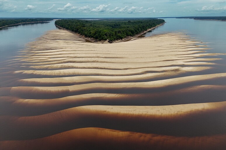 Siccita' colpisce l'Amazzonia