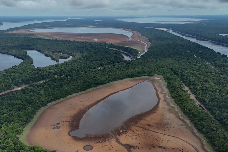 Siccita' colpisce l'Amazzonia