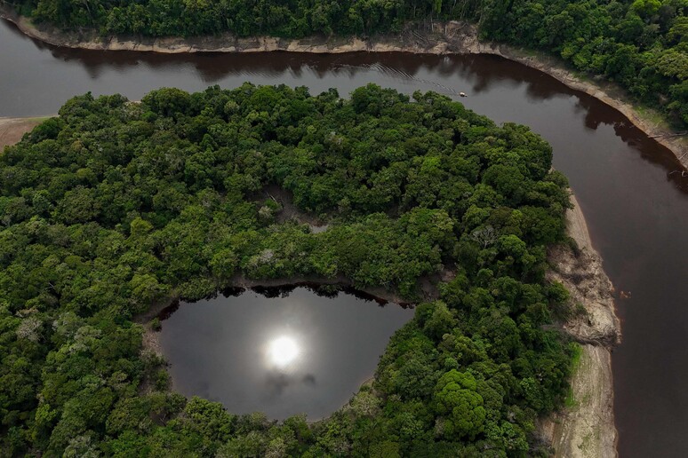 Siccita' colpisce l'Amazzonia