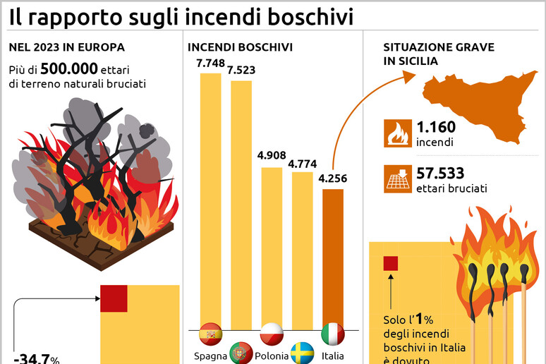 In Italia numero roghi in calo, ma sono più devastanti - RIPRODUZIONE RISERVATA