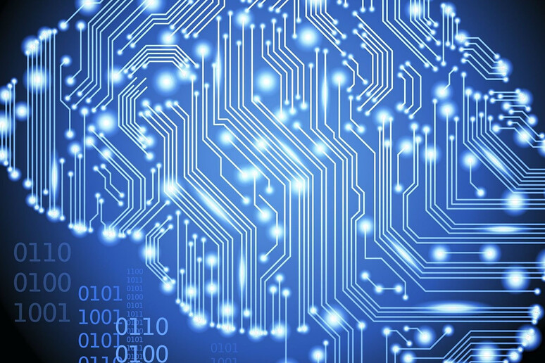 Neuroscienze e intelligenza artificiale si alleano per studiare il cervello (fonte: GoodFon) - RIPRODUZIONE RISERVATA