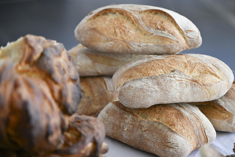 Assitol, nelle giuste quantità il pane è buono anche per il cuore - RIPRODUZIONE RISERVATA