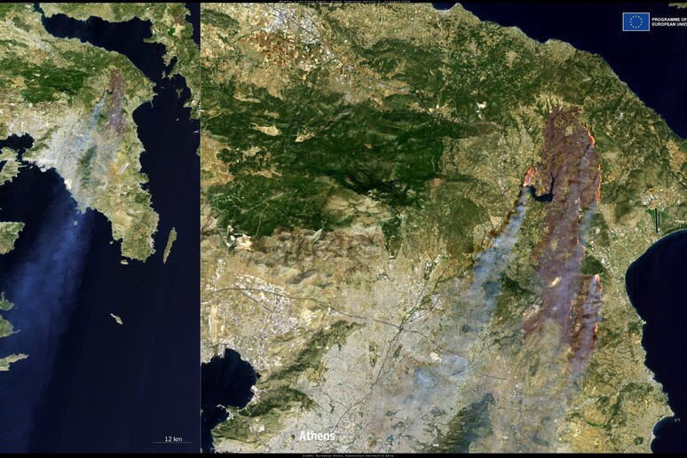 L 'immagine acquisita da Sentinel-2 alle ore 11,05 italiane del 12 agosto (fonte: European Union, Cop - RIPRODUZIONE RISERVATA