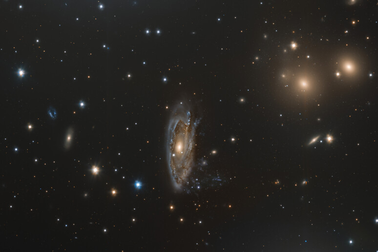 La galassia a spirale NGC 3312: la sua forma, simile a quella di una medusa, tradisce la sottrazione di gas (fonte: ESO/INAF/M. Spavone, E. Iodice) - RIPRODUZIONE RISERVATA