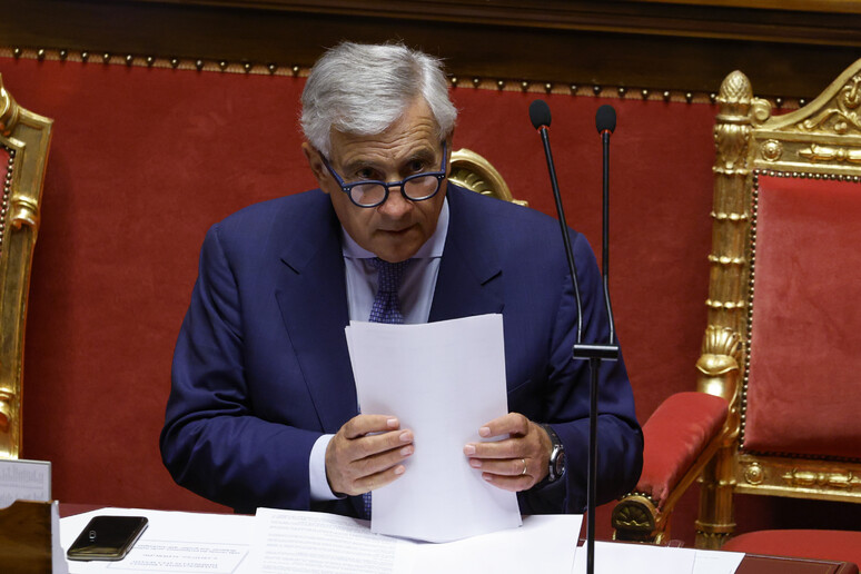 Tajani al Senato - RIPRODUZIONE RISERVATA