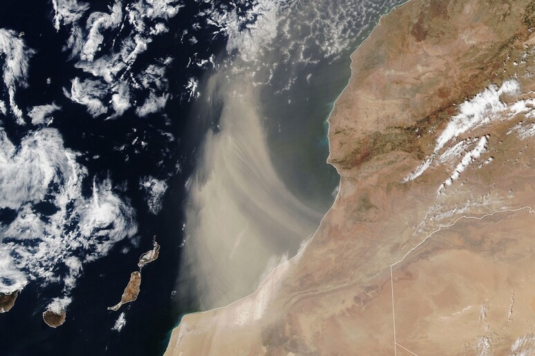 La polvere del Sahara trasportata dai venti verso l’Atlantico nell’estate 2024 (fonte: Lauren Dauphin, NASA Earth Observatory) - RIPRODUZIONE RISERVATA