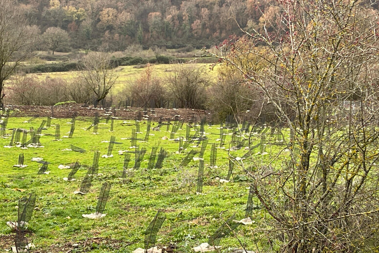 - RIPRODUZIONE RISERVATA