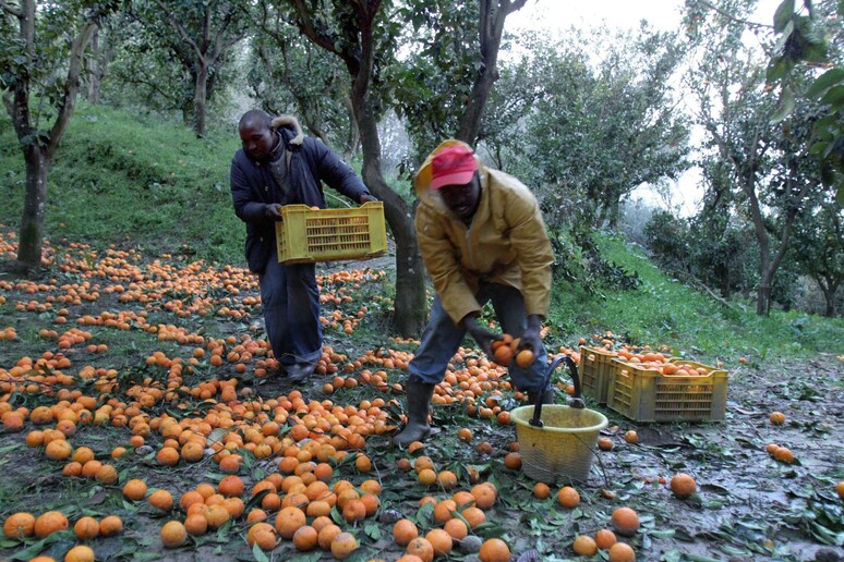 - RIPRODUZIONE RISERVATA